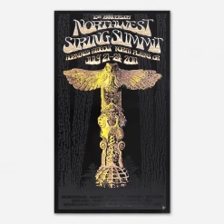 Northwest String Summit 2011 Poster