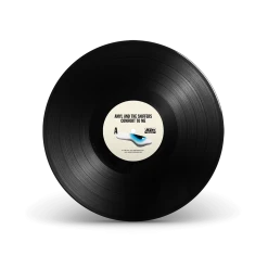 Amyl And The Sniffers Comfort To Me - Standard Black Vinyl New Merch 5 Amyl And The Sniffers Comfort To Me - Standard Black Vinyl New Merch