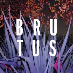 BRUTUS New Merch Burst CD