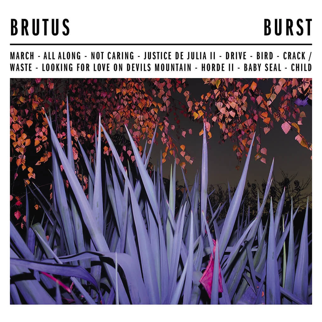 BRUTUS Burst 12" Vinyl New Merch 2 BRUTUS Burst 12" Vinyl New Merch