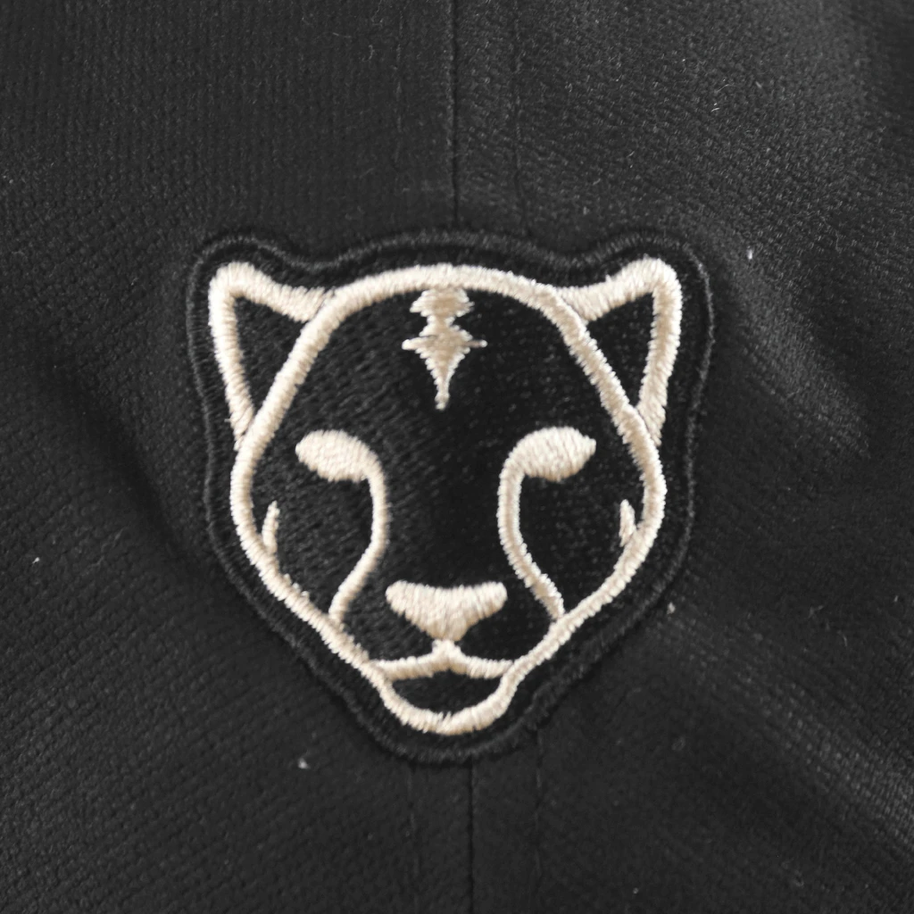 Black Pumas Monoline Microsuede Bill Dad Hat New Merch 2 Black Pumas Monoline Microsuede Bill Dad Hat New Merch