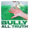 Bully All Truth Flexi Vinyl