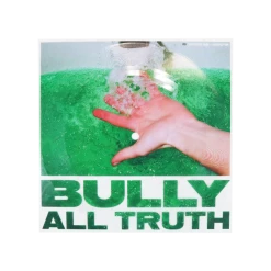 Bully All Truth Flexi Vinyl