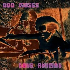 Billy Martin Bob Moses - Love Animal CD