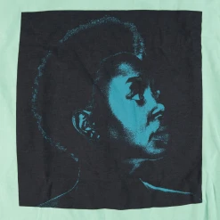 New Merch Ledisi Sings Nina Mint T-Shirt
