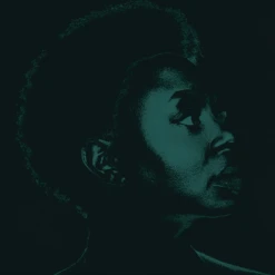 New Merch Ledisi Sings Nina CD