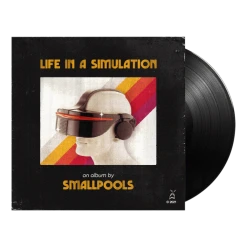 Smallpools Life In A Simulation 12" Vinyl