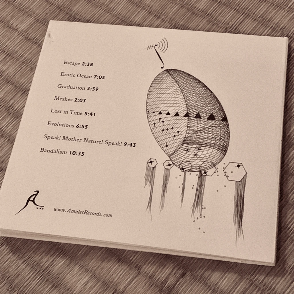 Billy Martin MESHES CD New Merch 7 Billy Martin MESHES CD New Merch