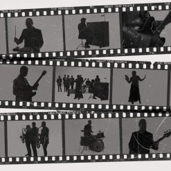 The Bamboos New Merch Night Time People