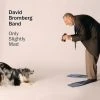 David Bromberg Only Slightly Mad CD New Merch