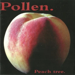 President Gator New Merch Pollen - Peach Tree 12" LP