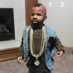 Reggie And The Full Effect No Country For Old Musicians