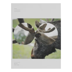 TTNG 13.0.0.0.0 Tablature Book Hard Copy New Merch