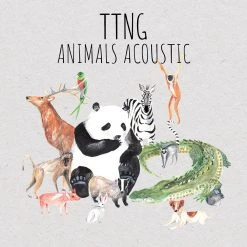 TTNG Animals Acoustic CD
