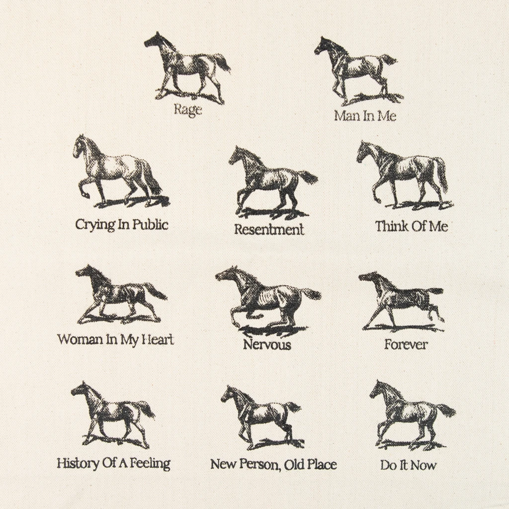 Madi Diaz History Of A Feeling Tote New Merch 3 Madi Diaz History Of A Feeling Tote New Merch