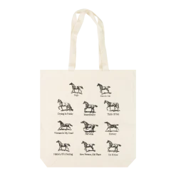 Madi Diaz History Of A Feeling Tote New Merch