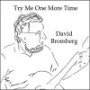 David Bromberg Try Me One More Time CD