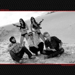 Deer Tick War Elephant 12" Vinyl New Merch